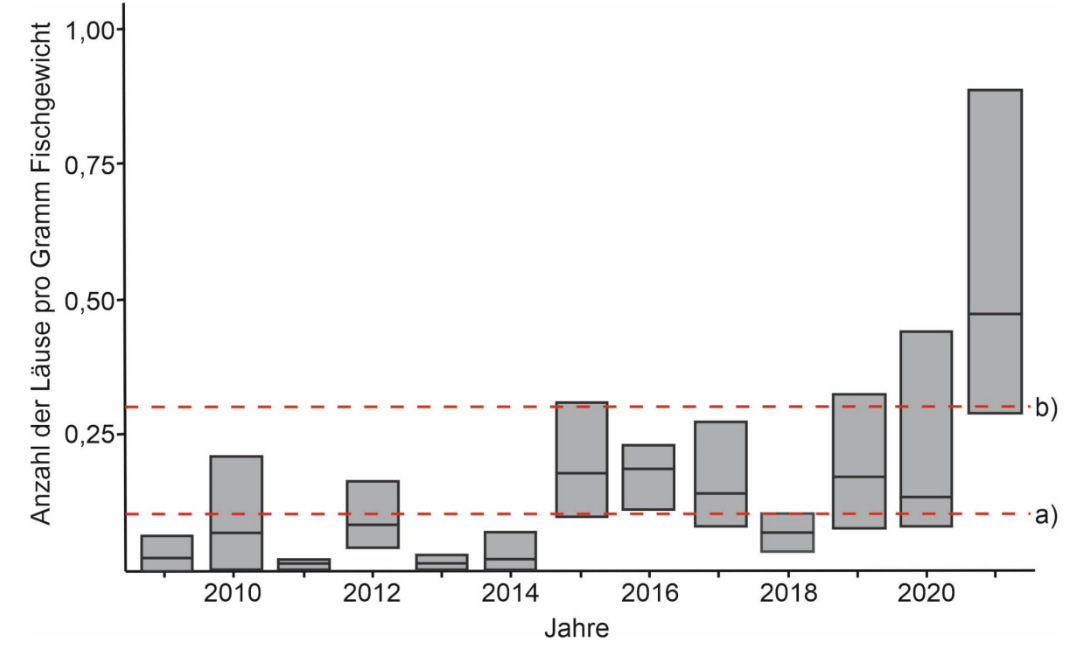 Boxplots der Läuse pro Gramm Fischgewicht über Jahre, mit zwei roten gestrichelten Referenzlinien.